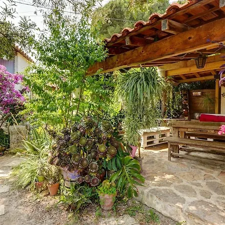 Et Jardin Provencal A サン・シル・シュル・メール