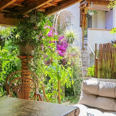 Et Jardin Provencal A