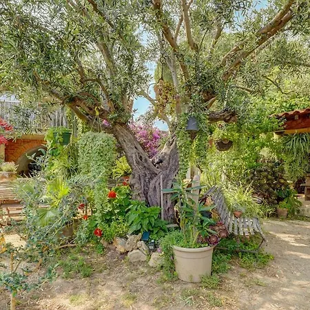 Et Jardin Provencal A