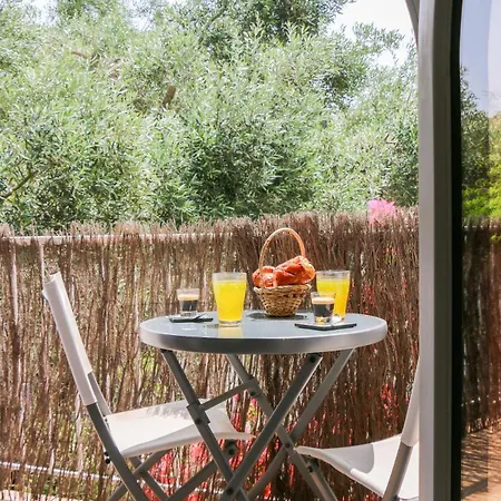 Et Jardin Provencal A